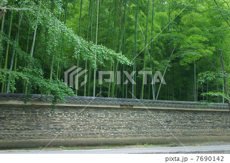 京都 大徳寺塔頭龍翔寺 竹林と瓦土塀 京都 大徳寺塔頭龍翔寺 竹林と瓦土塀 7690142