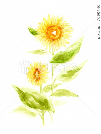 元気満開 7690446