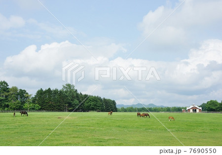 のどかな風景 7690550