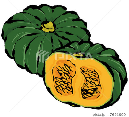 かぼちゃのイラスト素材 [7691000] - PIXTA