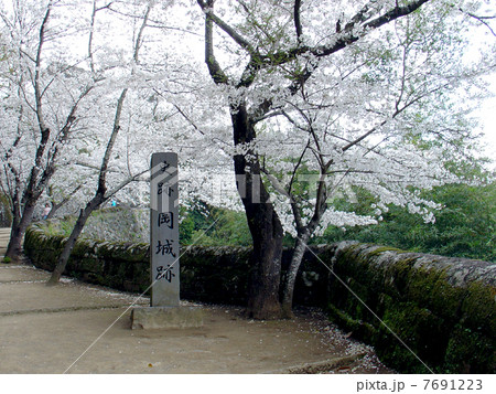 岡城跡 岡城跡 7691223