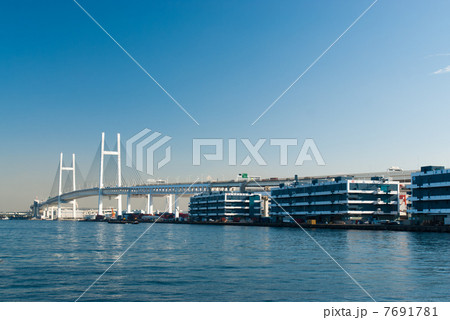 横浜ベイブリッジ 7691781