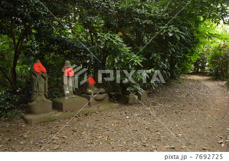 武蔵国分寺　東京 7692725