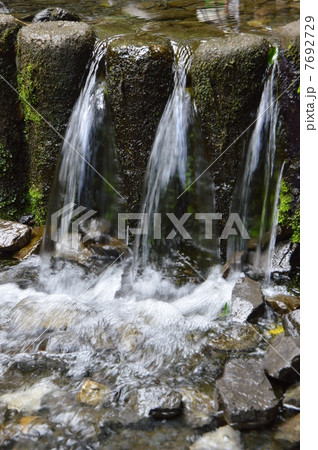 湧水 国分寺 湧水 国分寺 7692729