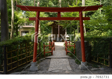 真姿の池　弁財天　国分寺 7692731