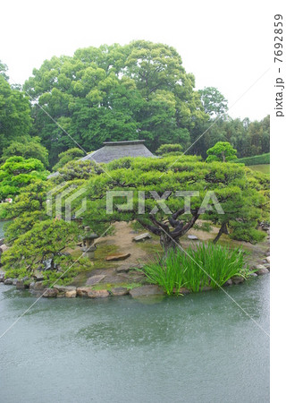 五月雨の後楽園 7692859