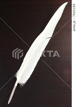 羽ペン 作り方 2903 羽ペン 作り方 カラス