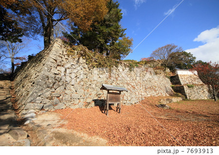 11月岡山　備中松山城・三の丸から見た石垣 7693913
