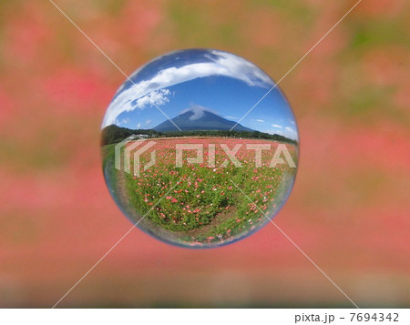 宙玉 ポピー畑 宙玉 ポピー畑 7694342