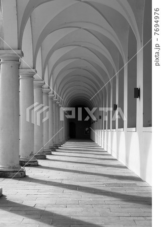 columns 7694976