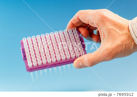 PCR plate PCR plate 7695012