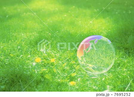 地球エコイメージ　芝の上の虹色の地球儀 7695252
