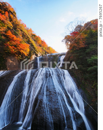 紅葉の袋田の滝 7695267