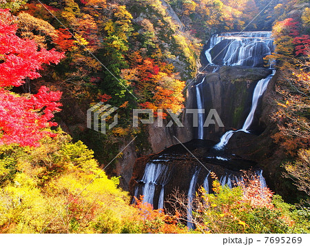 紅葉の袋田の滝 紅葉の袋田の滝 7695269
