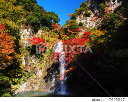 紅葉の箕面の滝 7695297