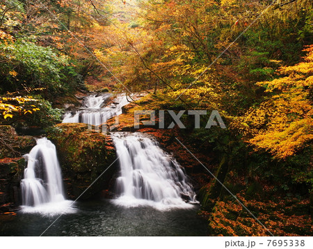紅葉の赤目四十八滝 7695338