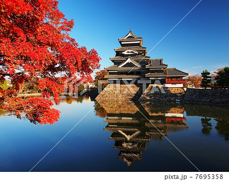 紅葉の松本城 7695358