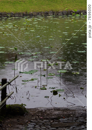 五月雨の後楽園 7696000