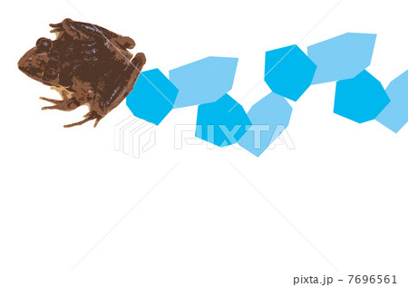 カエル 7696561