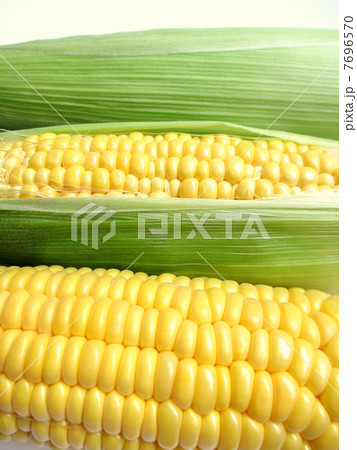 新鮮なとうもろこし 新鮮なとうもろこし 7696570