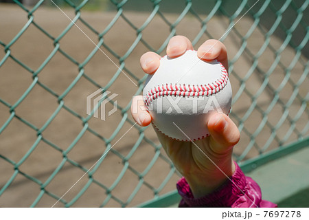 野球ボールの写真素材
