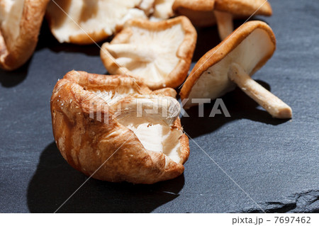 Shiitake Mushrooms 7697462