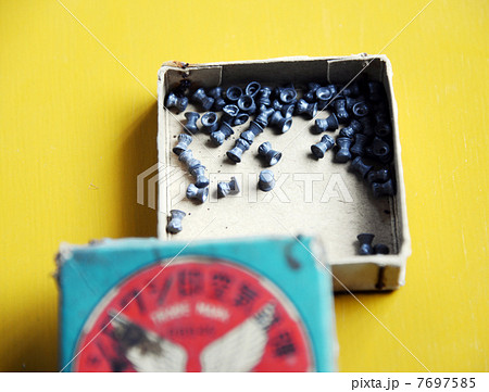 空気銃の弾 7697585