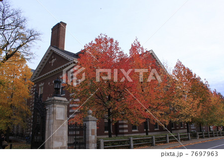 ハーバード大学 7697963