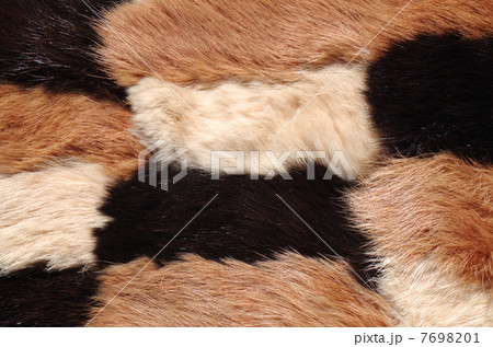 毛皮 毛皮 7698201