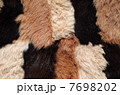 毛皮 7698202