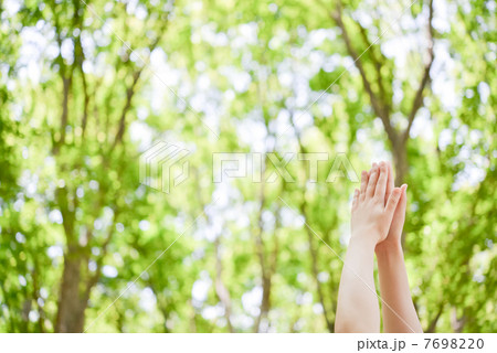 自然の中でヨガ の写真素材 769