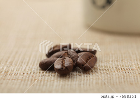 コーヒー豆 コーヒー豆 7698351