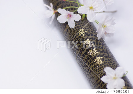 卒業イメージ 桜と証書入れ 卒業イメージ 桜と証書入れ 7699102