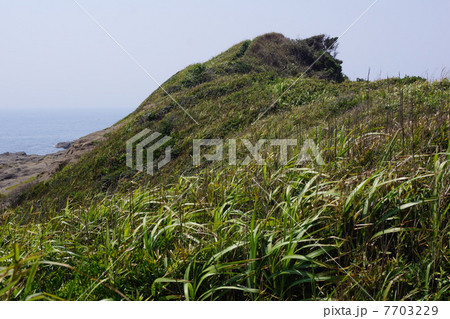 黒崎の鼻 7703229