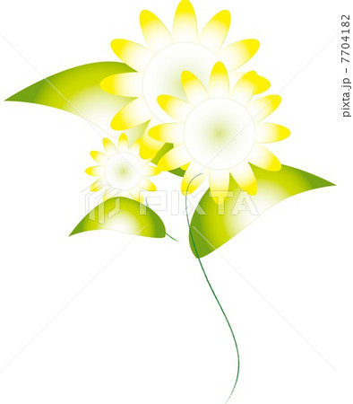 ひまわり1 ひまわり1 7704182