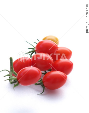 枝付きのミニトマト 枝付きのミニトマト 7704746