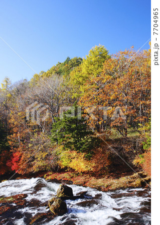 栃木県・秋の日光竜頭の滝 7704965