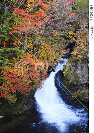 栃木県・秋の日光竜頭の滝 7704967