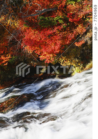 栃木県・秋の日光竜頭の滝 7704969