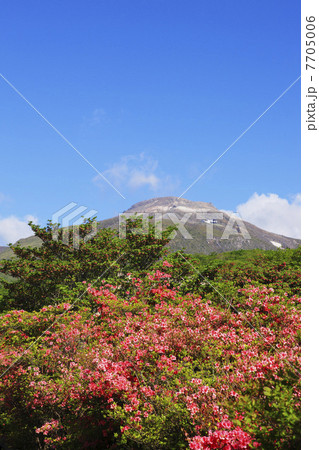 ツツジ咲く春の那須高原 7705006