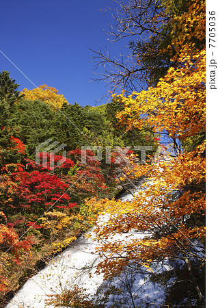 栃木県・秋の日光湯滝 7705036