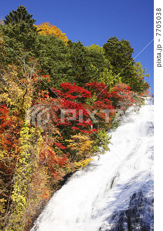 栃木県・秋の日光湯滝 7705038