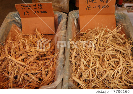 高麗人参 7706166