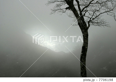 吾妻山　夜明け前 7706198