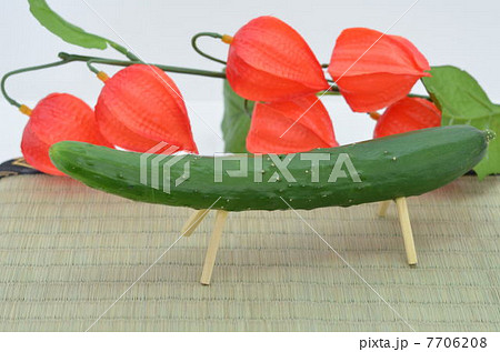 きゅうりの馬 7706208