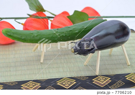 きゅうりの馬、なすの牛 7706210