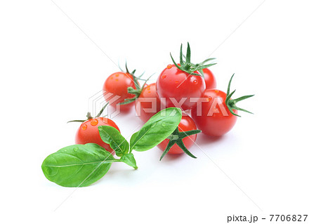 トマト　tomato 7706827