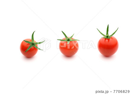 トマト　tomato 7706829