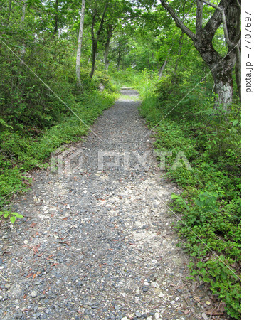 遊歩道 7707697