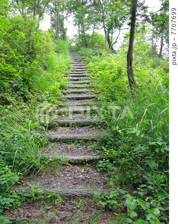 遊歩道 7707699